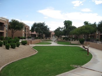 Landscaping at Tanner Manor in Phoenix, AZ